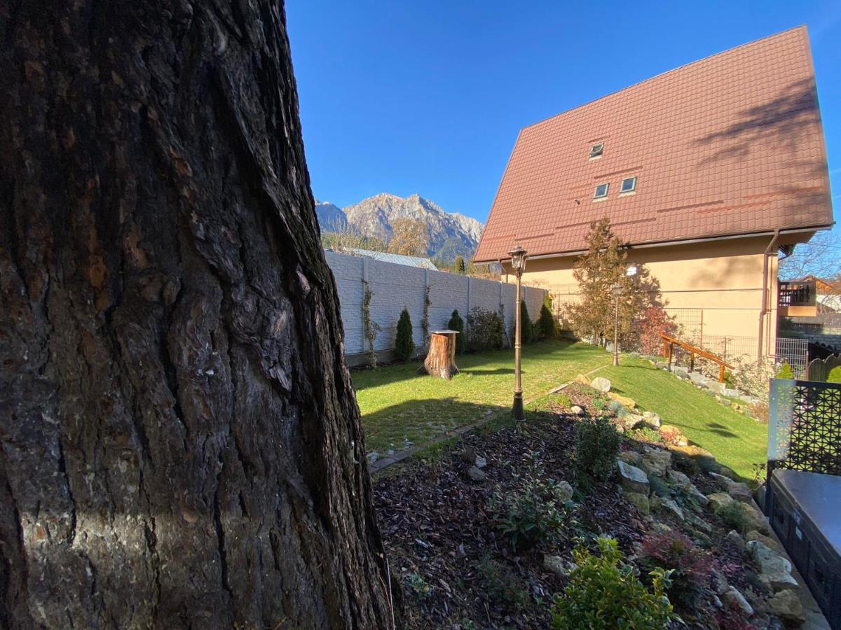 Royal Inn Busteni-Adults Only Exterior photo